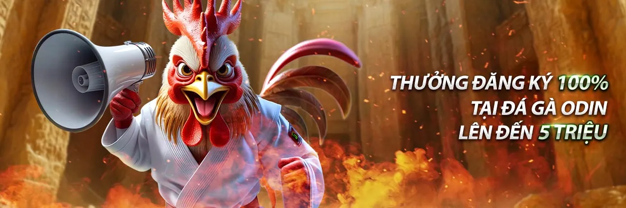 Banner quảng cáo ưu đãi đá gà 78win