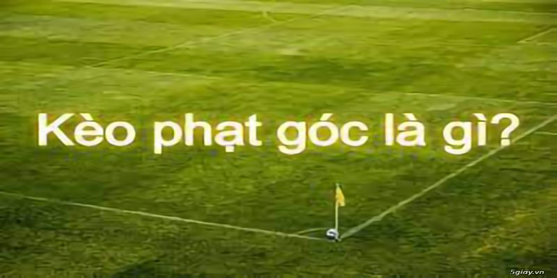 gioi thieu ve soi keo phat goc